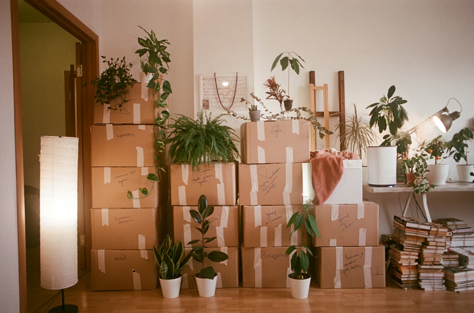 Move in and move out cleaning